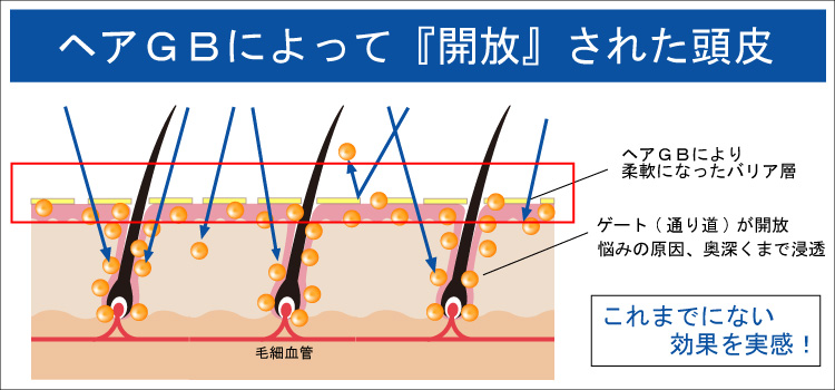 curberus_booster_4