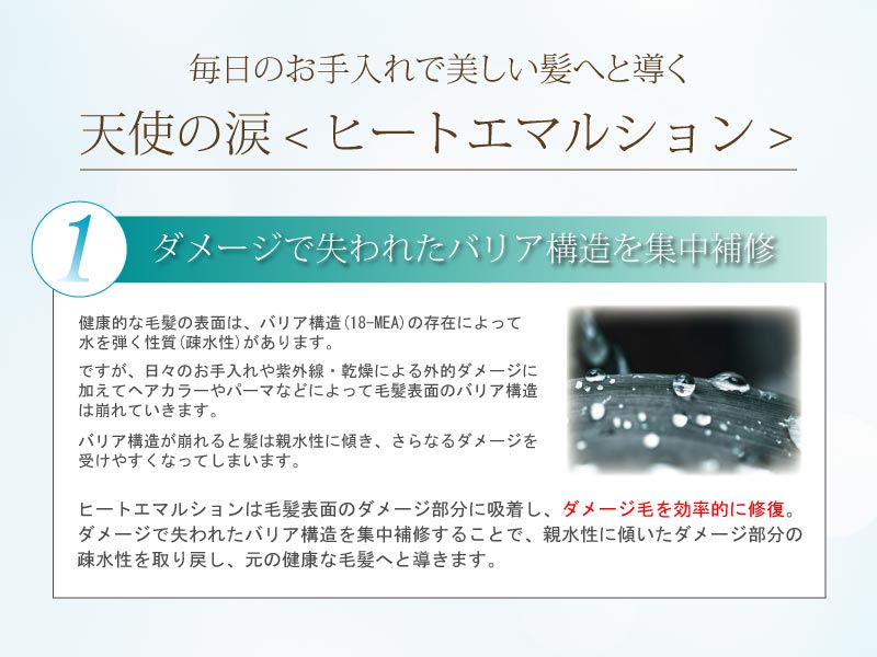 ダメージで失われたバリア構造を集中補修。