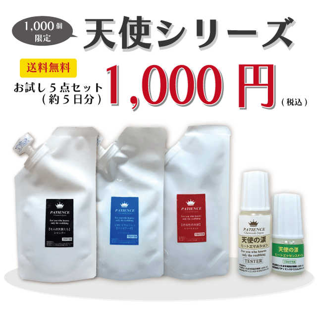 ★お一人様一点限り★天使シリーズお試し5点セット!
